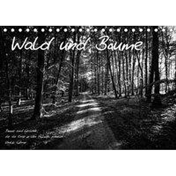 Wald und Bäume (Tischkalender 2020 DIN A5 quer), Heiko Kapeller