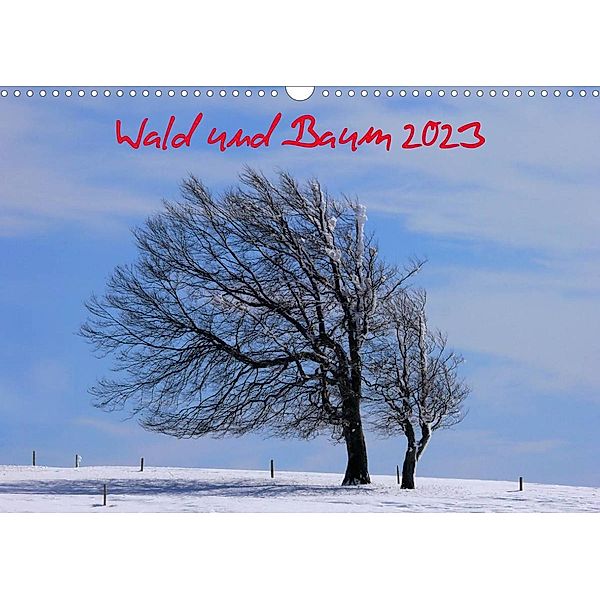 Wald und Baum 2023 (Wandkalender 2023 DIN A3 quer), Bildagentur Geduldig