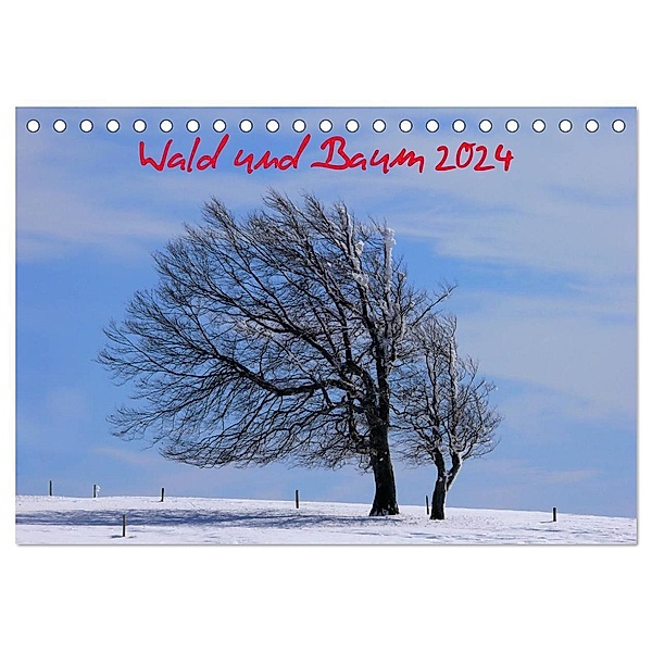 Wald und Baum 2024 (Tischkalender 2024 DIN A5 quer), CALVENDO Monatskalender, Bildagentur Geduldig