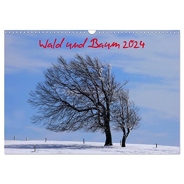 Wald und Baum 2024 (Wandkalender 2024 DIN A3 quer), CALVENDO Monatskalender, Bildagentur Geduldig