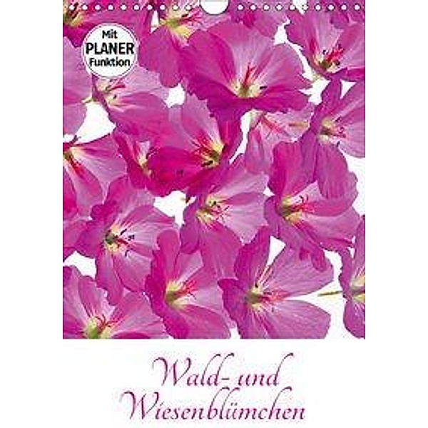 Wald- und Wiesenblümchen (Wandkalender 2019 DIN A4 hoch), Klaus Eppele