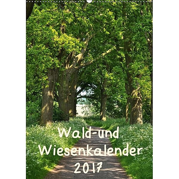 Wald- und Wiesenkalender 2017 Planer (Wandkalender 2017 DIN A2 hoch), Marianne Drews