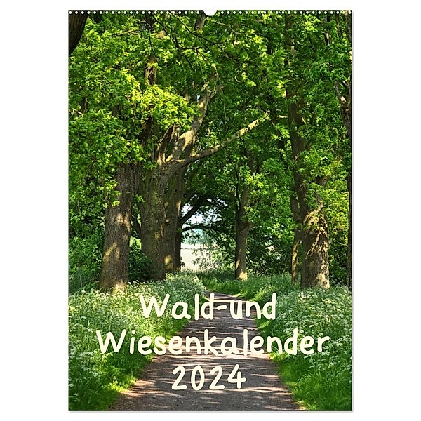 Wald- und Wiesenkalender 2024 Planer (Wandkalender 2024 DIN A2 hoch), CALVENDO Monatskalender, Marianne Drews