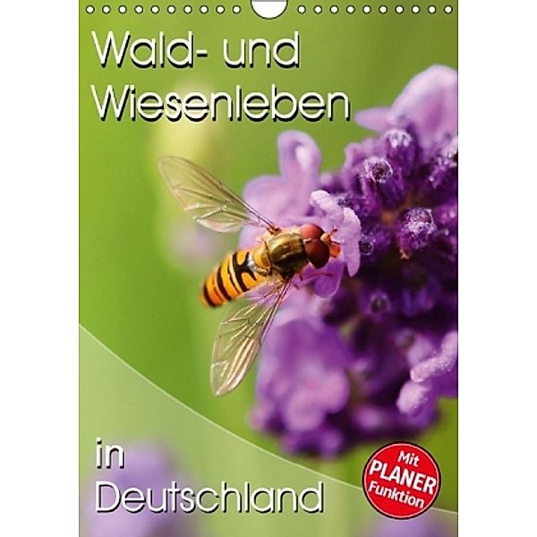 Wald- und Wiesenleben in Deutschland (Wandkalender 2016 DIN A4 hoch), Stefan Mosert