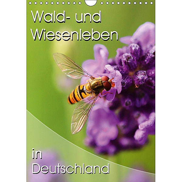 Wald- und Wiesenleben in Deutschland (Wandkalender 2019 DIN A4 hoch), Stefan Mosert