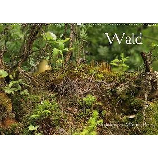 Wald (Wandkalender 2015 DIN A2 quer), Werner Gruse