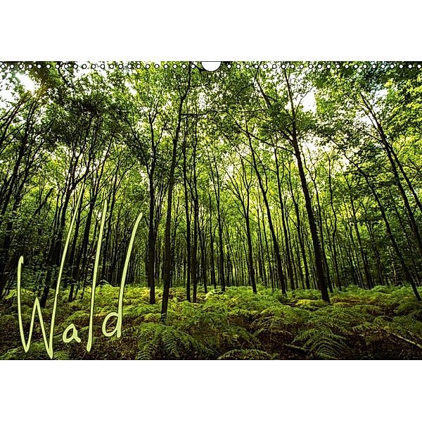 Wald (Wandkalender 2018 DIN A3 quer), Frauke Gimpel