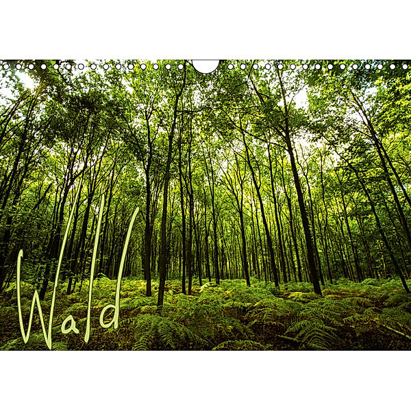 Wald (Wandkalender 2019 DIN A4 quer), Frauke Gimpel