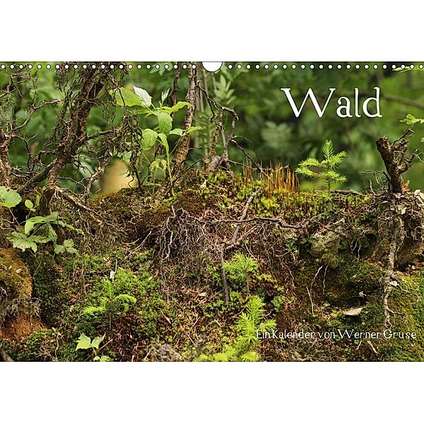 Wald (Wandkalender 2021 DIN A3 quer), Werner Gruse