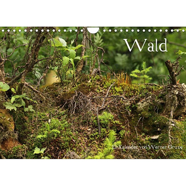 Wald (Wandkalender 2022 DIN A4 quer), Werner Gruse