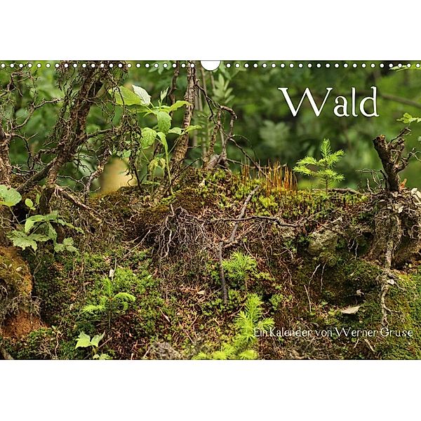 Wald (Wandkalender 2023 DIN A3 quer), Werner Gruse