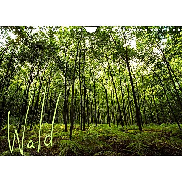 Wald (Wandkalender 2023 DIN A4 quer), Frauke Gimpel
