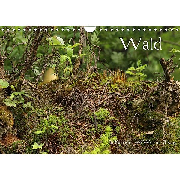 Wald (Wandkalender 2023 DIN A4 quer), Werner Gruse