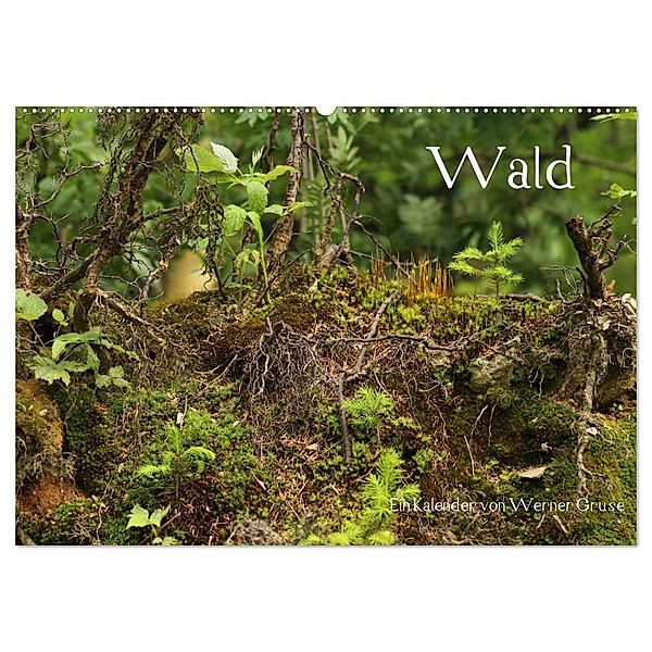 Wald (Wandkalender 2024 DIN A2 quer), CALVENDO Monatskalender, Werner Gruse