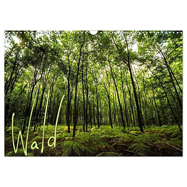 Wald (Wandkalender 2024 DIN A3 quer), CALVENDO Monatskalender, Frauke Gimpel