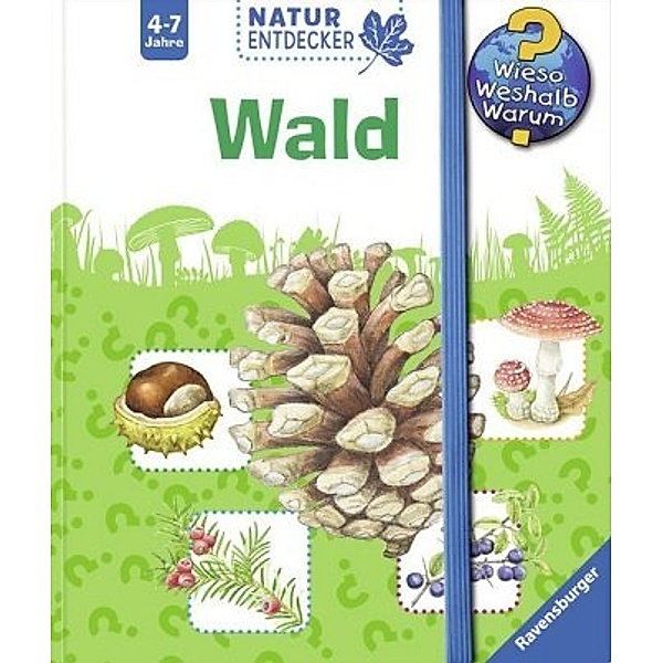 Wald / Wieso? Weshalb? Warum? Natur-Entdecker Bd.3, Daniela Prusse, Christine Henkel