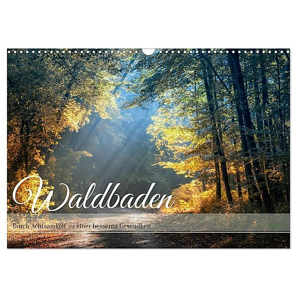 Waldbaden - Durch Achtsamkeit zu einer besseren Gesundheit (Wandkalender 2025 DIN A3 quer), CALVENDO Monatskalender, Calvendo, Nicole Peters