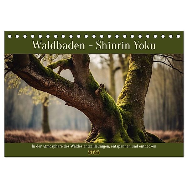 Waldbaden - Shinrin Yoku (Tischkalender 2025 DIN A5 quer), CALVENDO Monatskalender, Calvendo, Claudia Kleemann