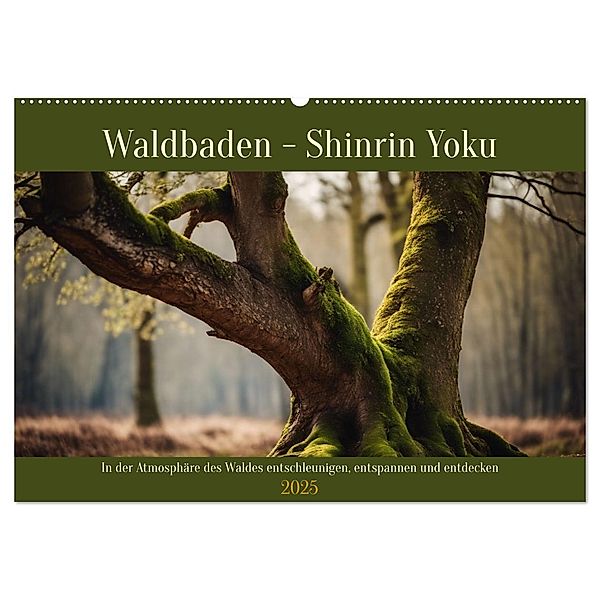 Waldbaden - Shinrin Yoku (Wandkalender 2025 DIN A2 quer), CALVENDO Monatskalender, Calvendo, Claudia Kleemann