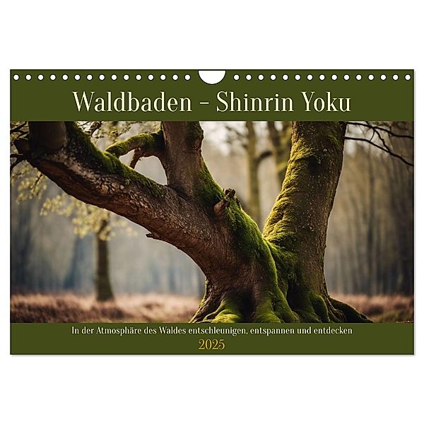 Waldbaden - Shinrin Yoku (Wandkalender 2025 DIN A4 quer), CALVENDO Monatskalender, Calvendo, Claudia Kleemann