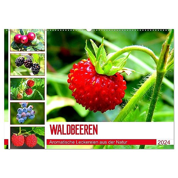 Waldbeeren. Aromatische Leckereien aus der Natur (Wandkalender 2024 DIN A2 quer), CALVENDO Monatskalender, Rose Hurley