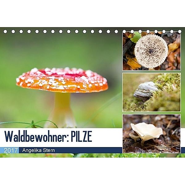 Waldbewohner: PILZE (Tischkalender 2017 DIN A5 quer), Angelika Stern