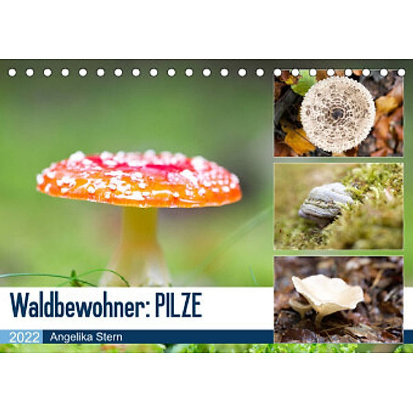 Waldbewohner: PILZE (Tischkalender 2022 DIN A5 quer), Angelika Stern