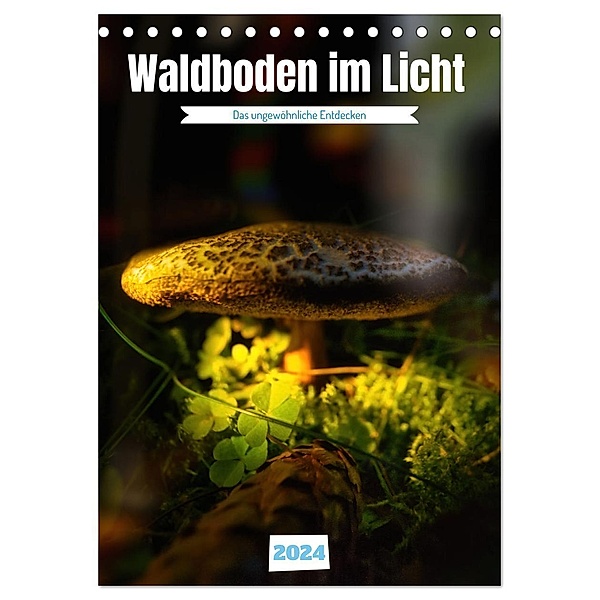 Waldboden im Licht (Tischkalender 2024 DIN A5 hoch), CALVENDO Monatskalender, Calvendo, Torsten Irmer