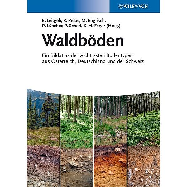 Waldböden