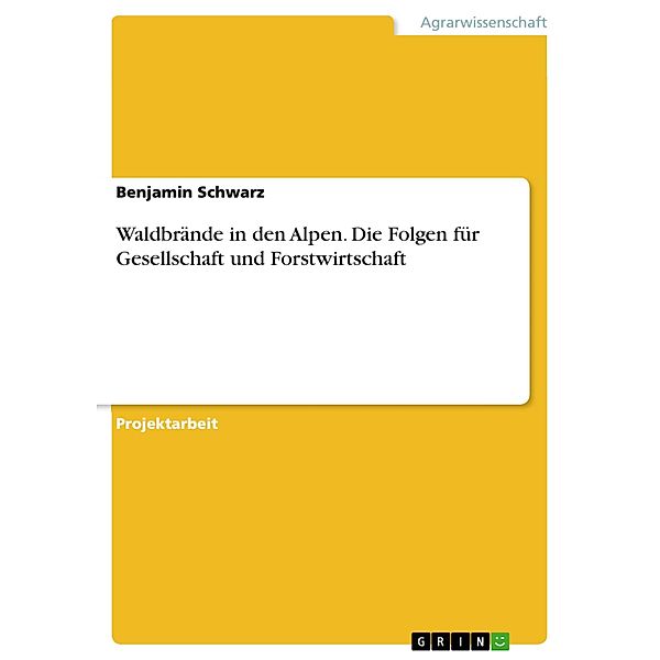 Waldbrände in den Alpen. Die Folgen für Gesellschaft und Forstwirtschaft, Benjamin Schwarz