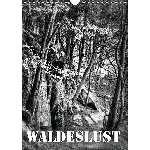 Waldeslust (Wandkalender 2016 DIN A4 hoch), Martina Roberts