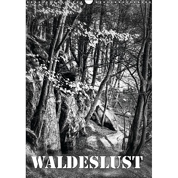 Waldeslust (Wandkalender 2018 DIN A3 hoch), Martina Roberts