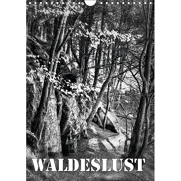 Waldeslust (Wandkalender 2018 DIN A4 hoch), Martina Roberts