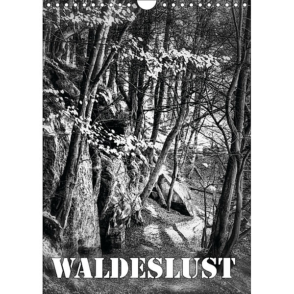 Waldeslust (Wandkalender 2019 DIN A4 hoch), Martina Roberts