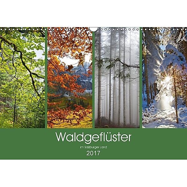Waldgeflüster im Salzburger Land (Wandkalender 2017 DIN A3 quer), Christa Kramer