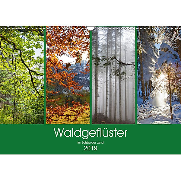 Waldgeflüster im Salzburger Land (Wandkalender 2019 DIN A3 quer), Christa Kramer