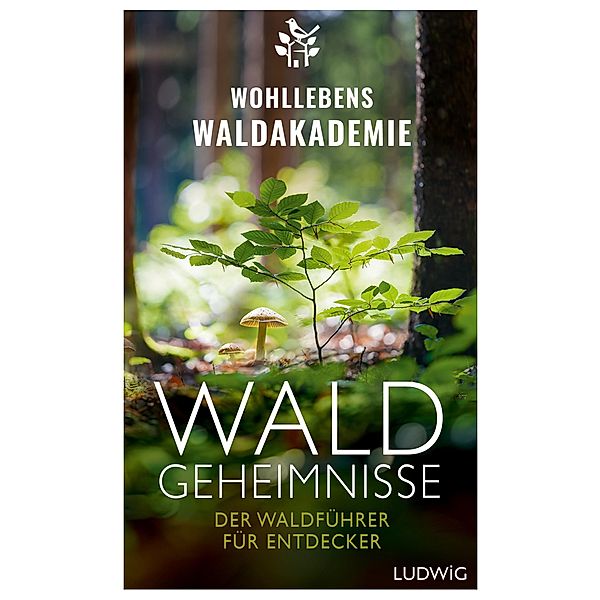 Waldgeheimnisse, Wohllebens Waldakademie