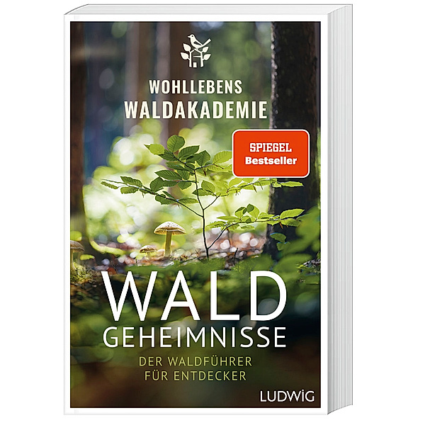 Waldgeheimnisse, Wohllebens Waldakademie