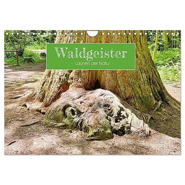 Waldgeister - Launen der Natur (Wandkalender 2024 DIN A4 quer), CALVENDO Monatskalender, Angelika keller