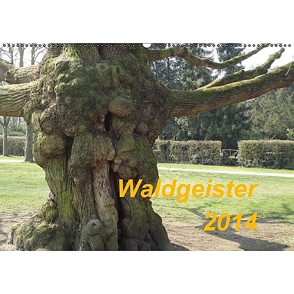 Waldgeister (Wandkalender 2014 DIN A2 quer), Angelika Keller, Hans-Ulrich Keller