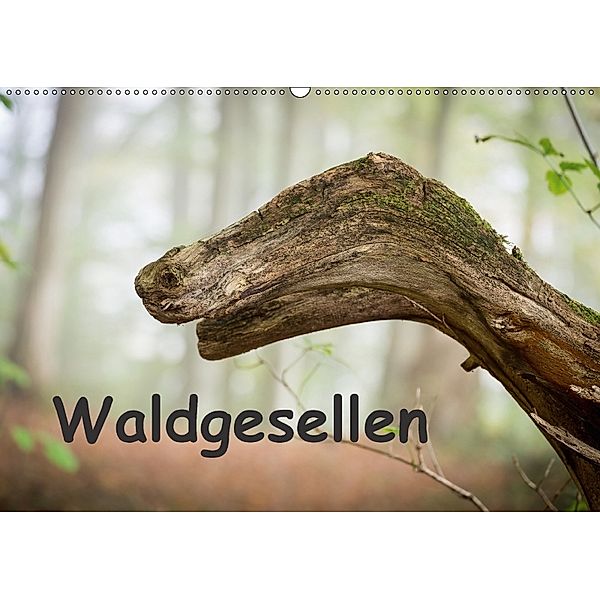 Waldgesellen - entdecke die Vielfalt (Wandkalender 2018 DIN A2 quer), Holger Losekann