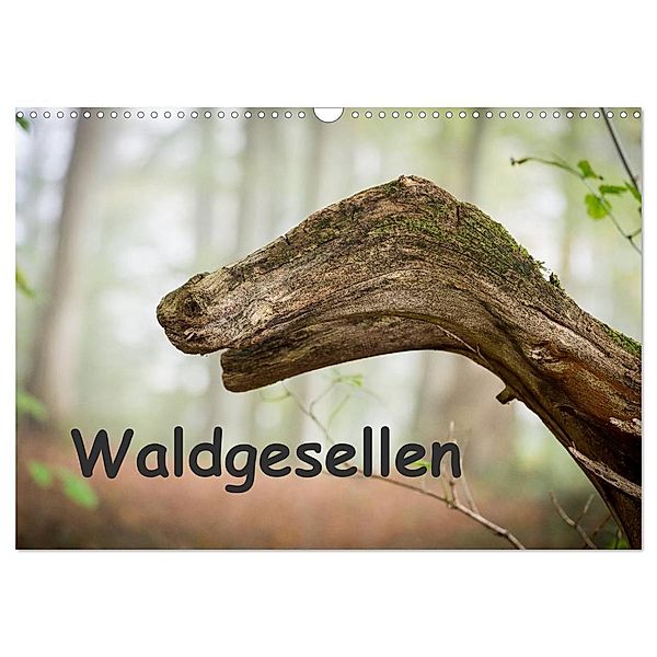 Waldgesellen - entdecke die Vielfalt (Wandkalender 2024 DIN A3 quer), CALVENDO Monatskalender, Holger Losekann