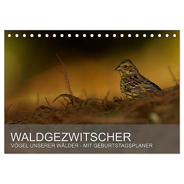 Waldgezwitscher - Vögel unserer Wälder (Tischkalender 2024 DIN A5 quer), CALVENDO Monatskalender, Alexander Krebs