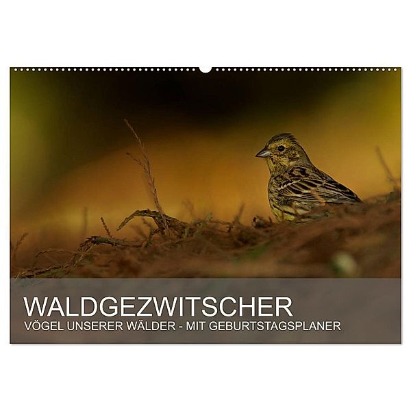 Waldgezwitscher - Vögel unserer Wälder (Wandkalender 2024 DIN A2 quer), CALVENDO Monatskalender, Alexander Krebs