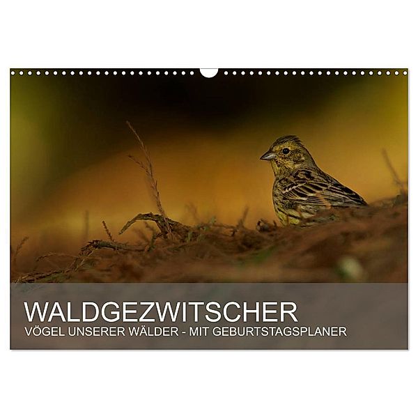 Waldgezwitscher - Vögel unserer Wälder (Wandkalender 2025 DIN A3 quer), CALVENDO Monatskalender, Calvendo, Alexander Krebs