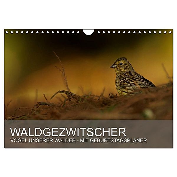 Waldgezwitscher - Vögel unserer Wälder (Wandkalender 2025 DIN A4 quer), CALVENDO Monatskalender, Calvendo, Alexander Krebs