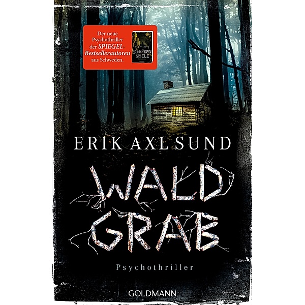 Waldgrab / Kronoberg Bd.3, Erik Axl Sund