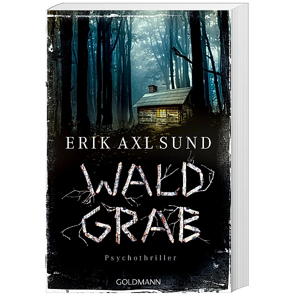 Waldgrab / Kronoberg Bd.3, Erik Axl Sund