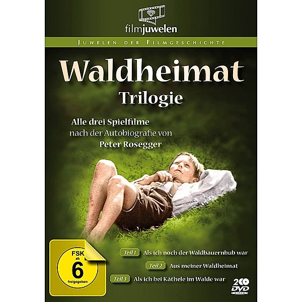 Waldheimat Trilogie, Fritz Stapenhorst