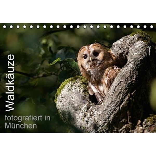 Waldkäuze, fotografiert in München (Tischkalender 2016 DIN A5 quer), Klaus Buchmann
